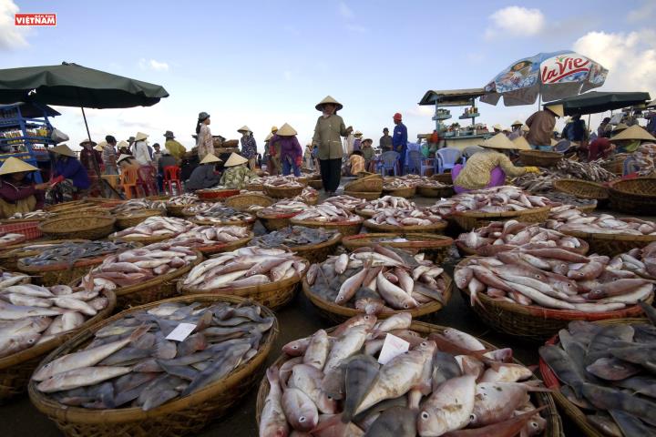Nơi nhịp sống bắt đầu từ biển