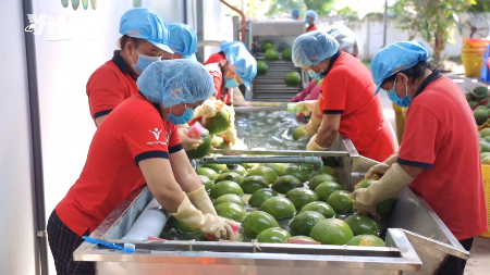 Vietnamese farm produce strengthens foothold in China