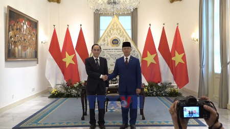 Vietnam, Indonesia chart new strategic cooperation agenda