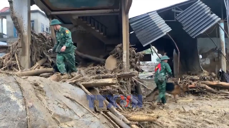 Sniffer dogs deployed to search for victims missing after Lai Chau flash flood