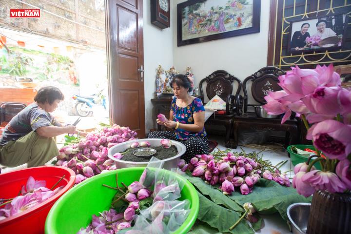 Trà sen Tây Hồ - hương vị di sản giữa lòng Hà Nội