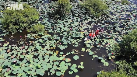 Community tourism breathes new life into Bau Da wetland forest