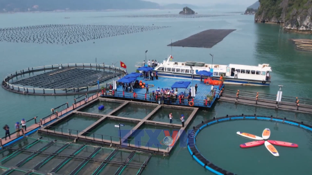 Marine farming emerges as a new growth engine