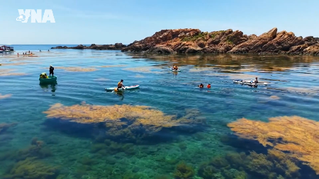 Nhon Hai balances marine tourism with coral reef conservation