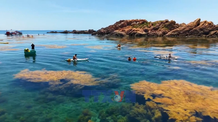 Nhon Hai : préserver les récifs coralliens face à lessor du tourisme