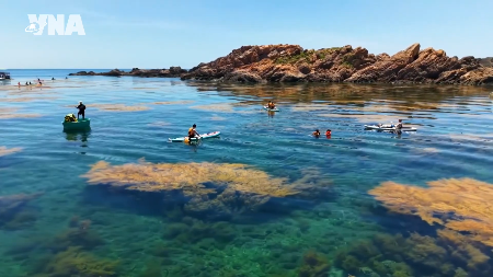 Nhon Hai busca equilibrar el turismo marino con la conservación de los arrecifes de coral