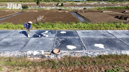 Les gardiens du goût salé des salines de Chau Ha