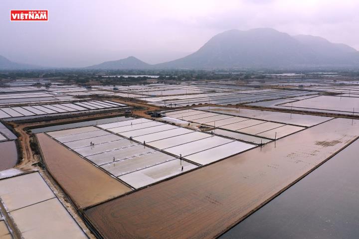 Nghề làm muối của người Việt