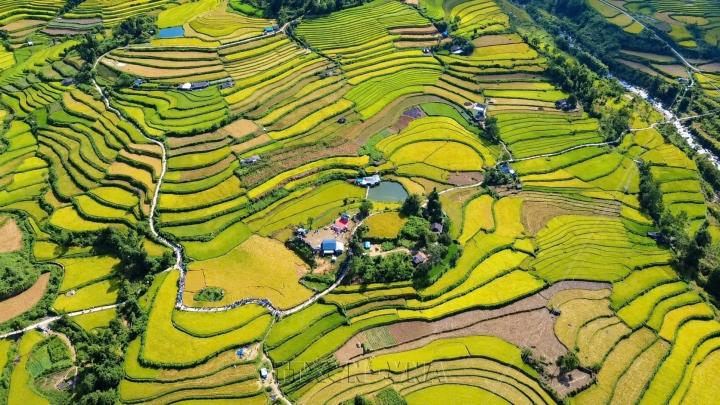 Ngày hội Mùa vàng Tả Lèng của đồng bào dân tộc Mông