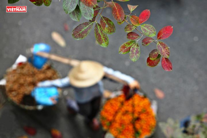 Sắc thu Hà Nội