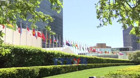 Viet Nams multilateral vision and constructive role at the UN