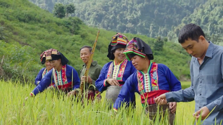 Ethnic Lao community in Dien Bien celebrates new rice festival