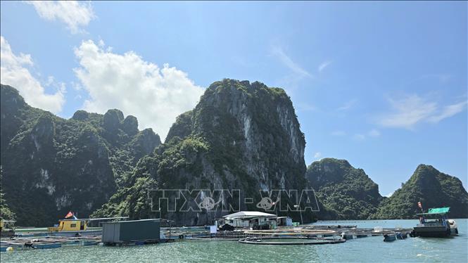 Ứng dụng công nghệ nâng giá trị thủy sản Quảng Ninh