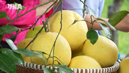 Digital platforms take Ha Tinh specialities to wider markets