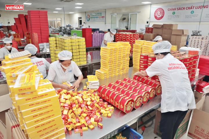Rồng Vàng Hoàng Gia - Tinh hoa xứ Đông vươn biển lớn