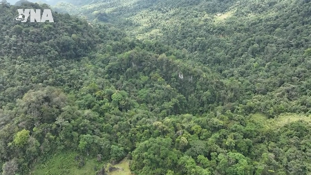Pu Sam Cap, una joya escondida entre las montañas del noroeste de Vietnam