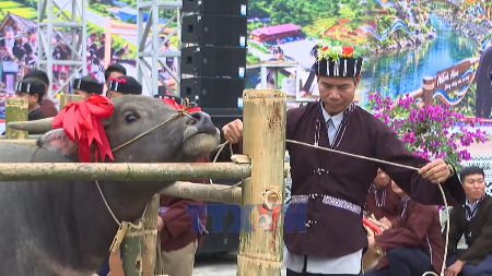 Buffalo-soul ritual keeps tradition alive in Lai Chau