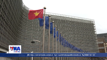 Vietnam y la UE refuerzan asociación estratégica integral