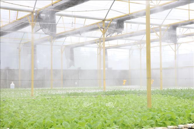 Thúc đẩy chuyển đổi kép xanh và số từ kinh nghiệm quốc tế