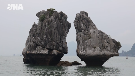 Quang Ninh explores cooperation opportunities with Indonesia