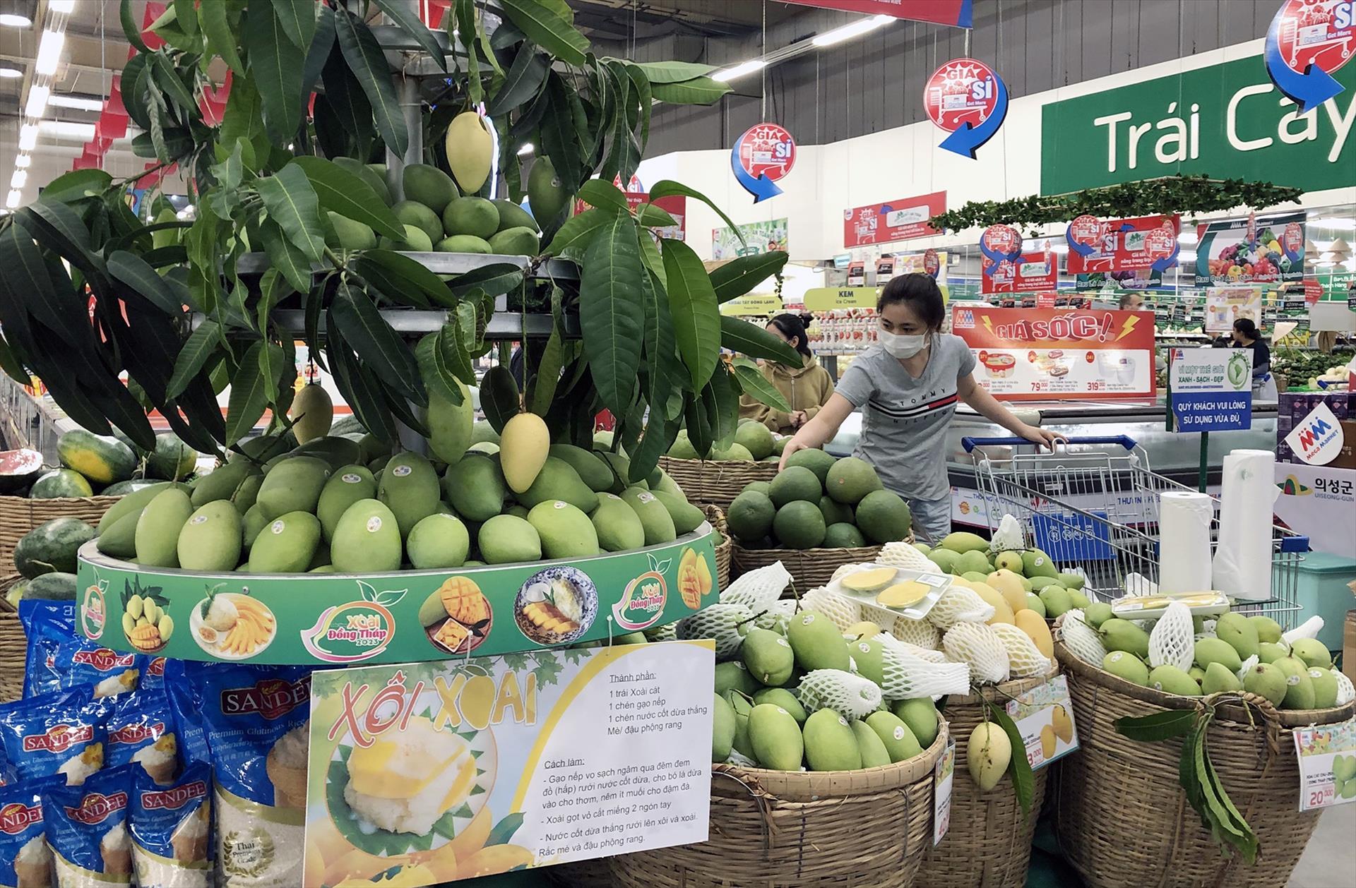 Từng bước đưa trái xoài thành ngành hàng xuất khẩu chủ lực