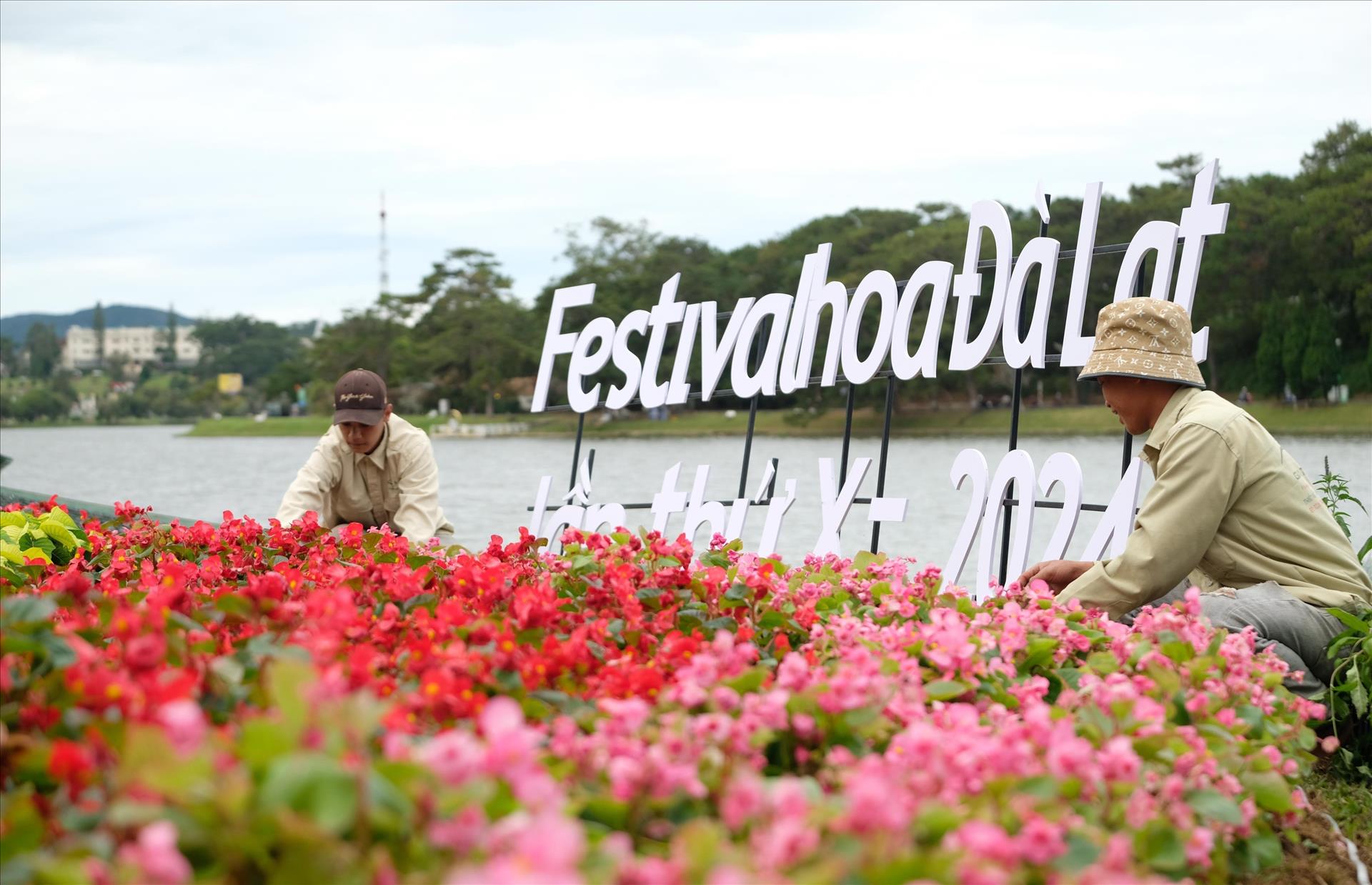 Phố núi Đà Lạt kỳ vọng đón 2 triệu lượt khách tham dự Festival hoa