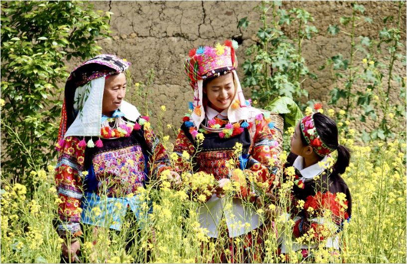 Ha Giang, Hoi An gain global spotlight in Time Outs 2026 rankings