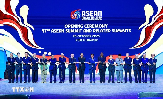 Vietnam helps strengthen ASEANs centrality: Malaysian researcher