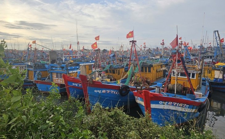 台風カルマエギ、ベトナム海域に進入 中部各省が警戒強化