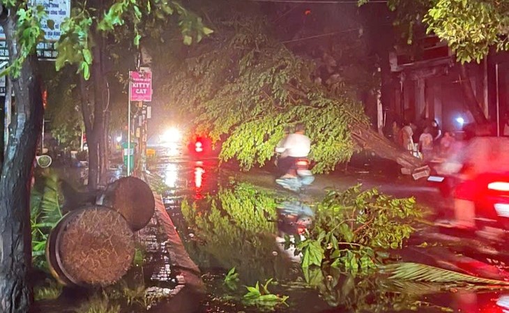 ພາຍຸ Kalmaegi ກໍ່ຜົນເສຍຫາຍຢ່າງໜັກໜ່ວງຢູ່ແຂວງ ຢາລາຍ ແລະ ດັກລັກ