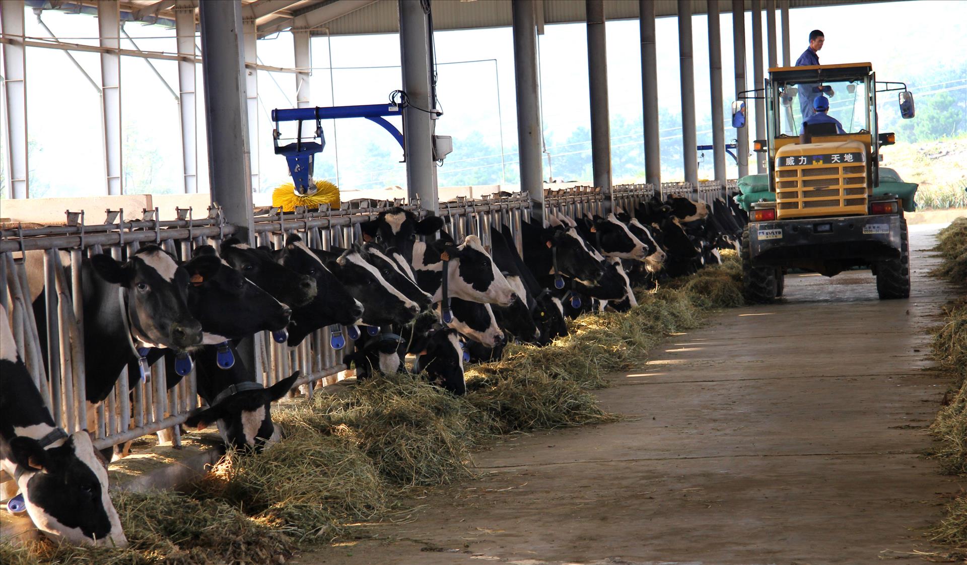 베트남 농업 부문, 수출 목표치 700억 달러 달성 유력