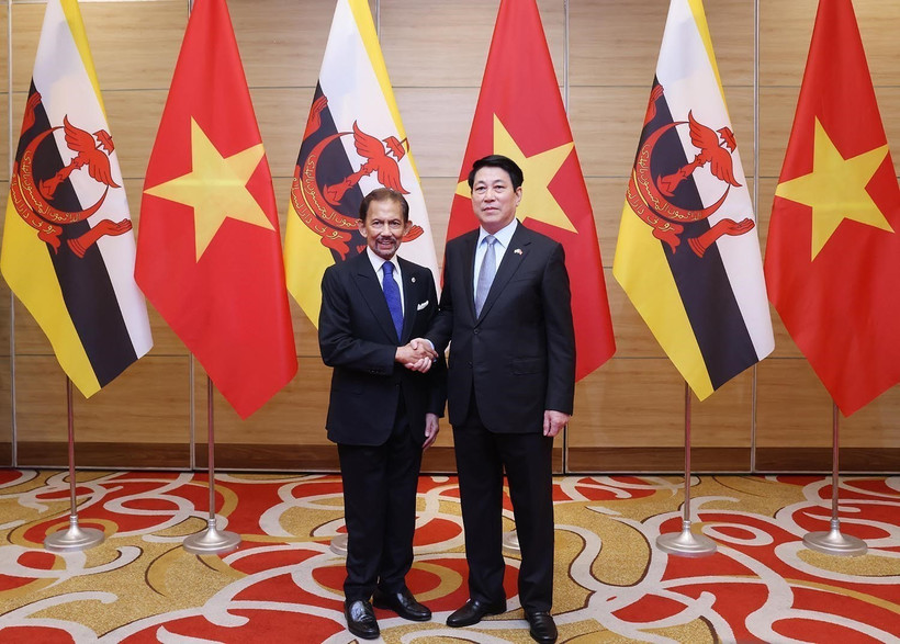 Vietnam, Brunei issue joint statement