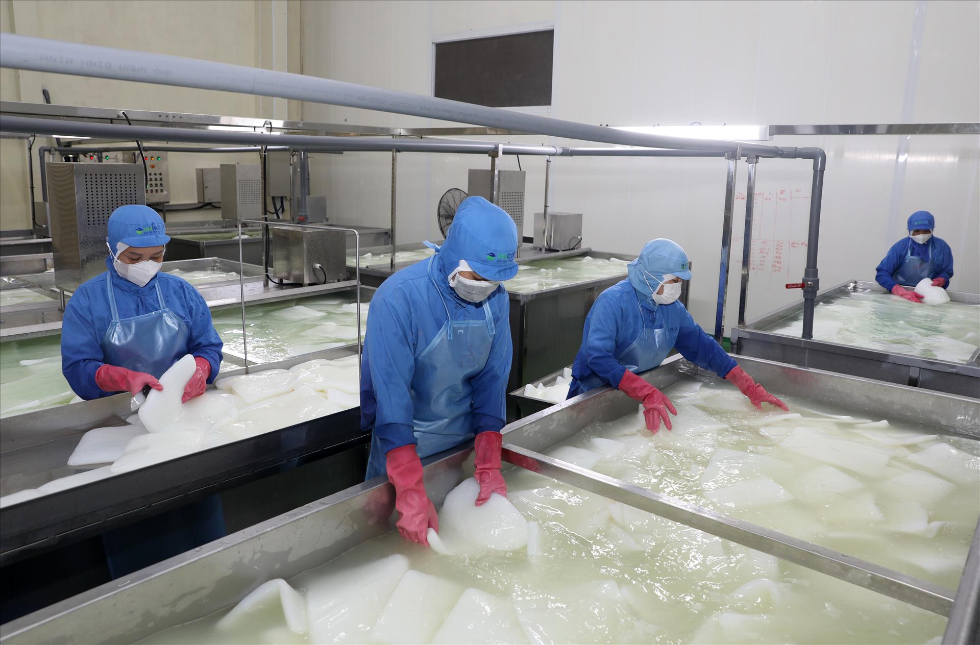 Ứng dụng công nghệ hiện đại trong sản xuất thạch dừa tại nhà máy Vinacoco