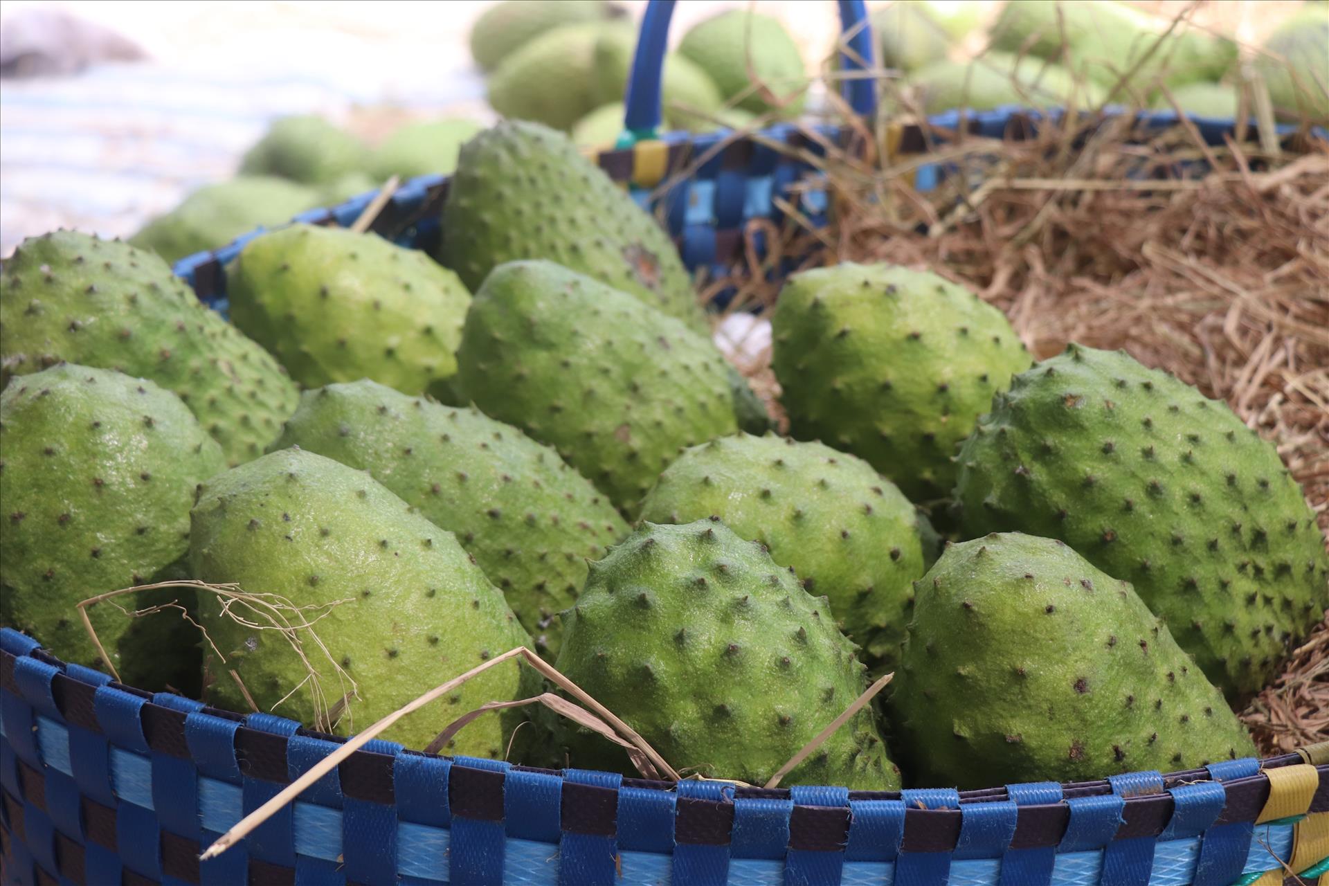 Securing Agricultural and Food Supplies for Tet