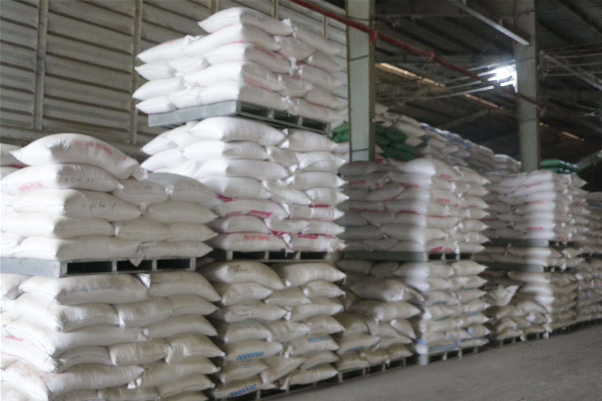 Xuất khẩu gạo tăng 5% về lượng, giá bình quân giảm mạnh