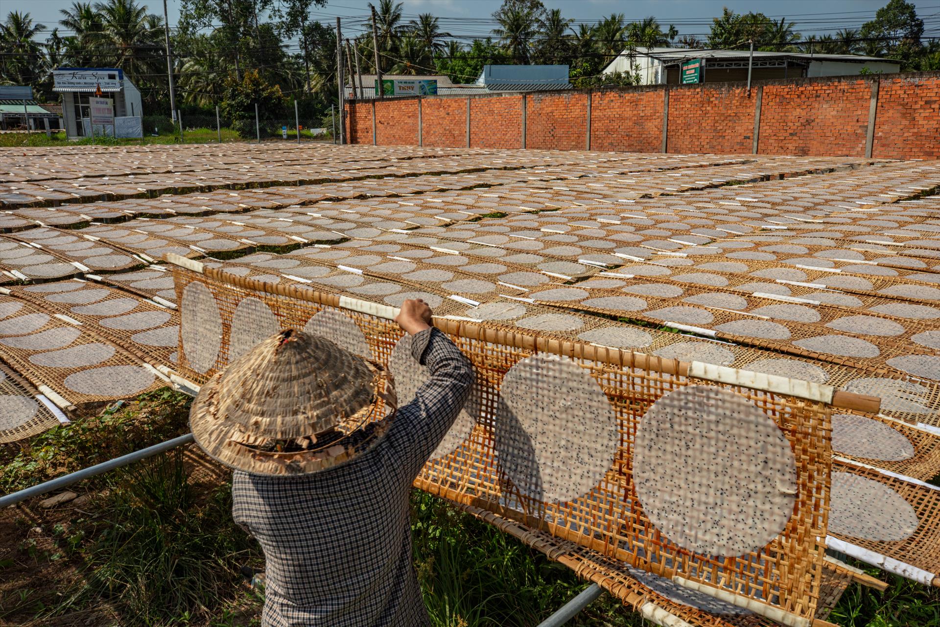 Vang danh bánh tráng Mỹ Lồng
