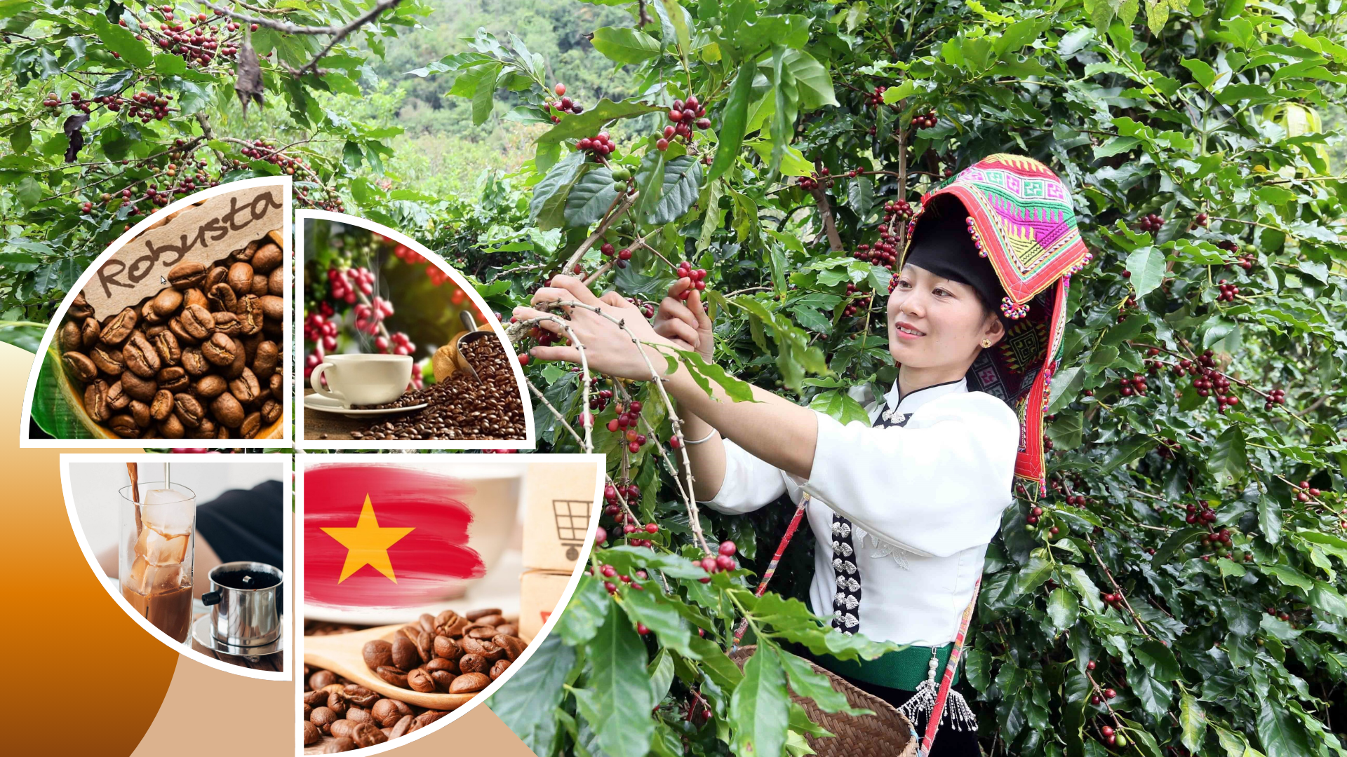 价值时代中的越南咖啡——从定位能力到国家价值空间