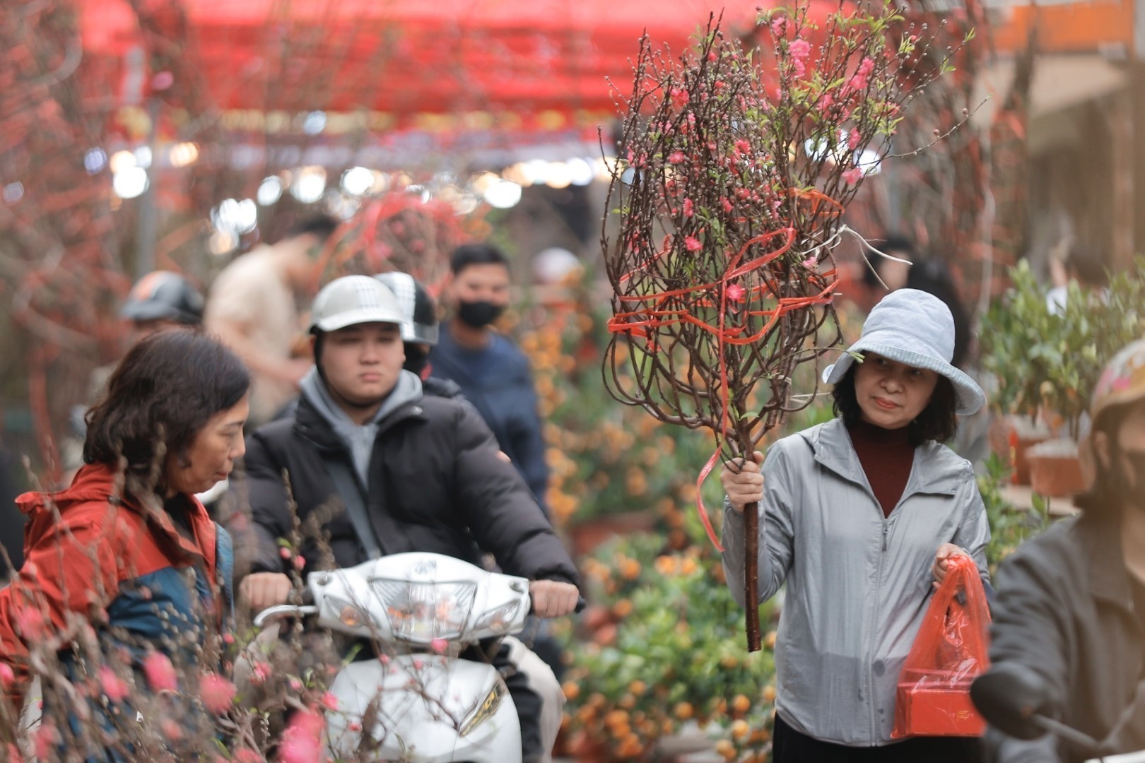 Le printemps arrive sur un air dantan au marché aux fleurs de Hang Luoc
