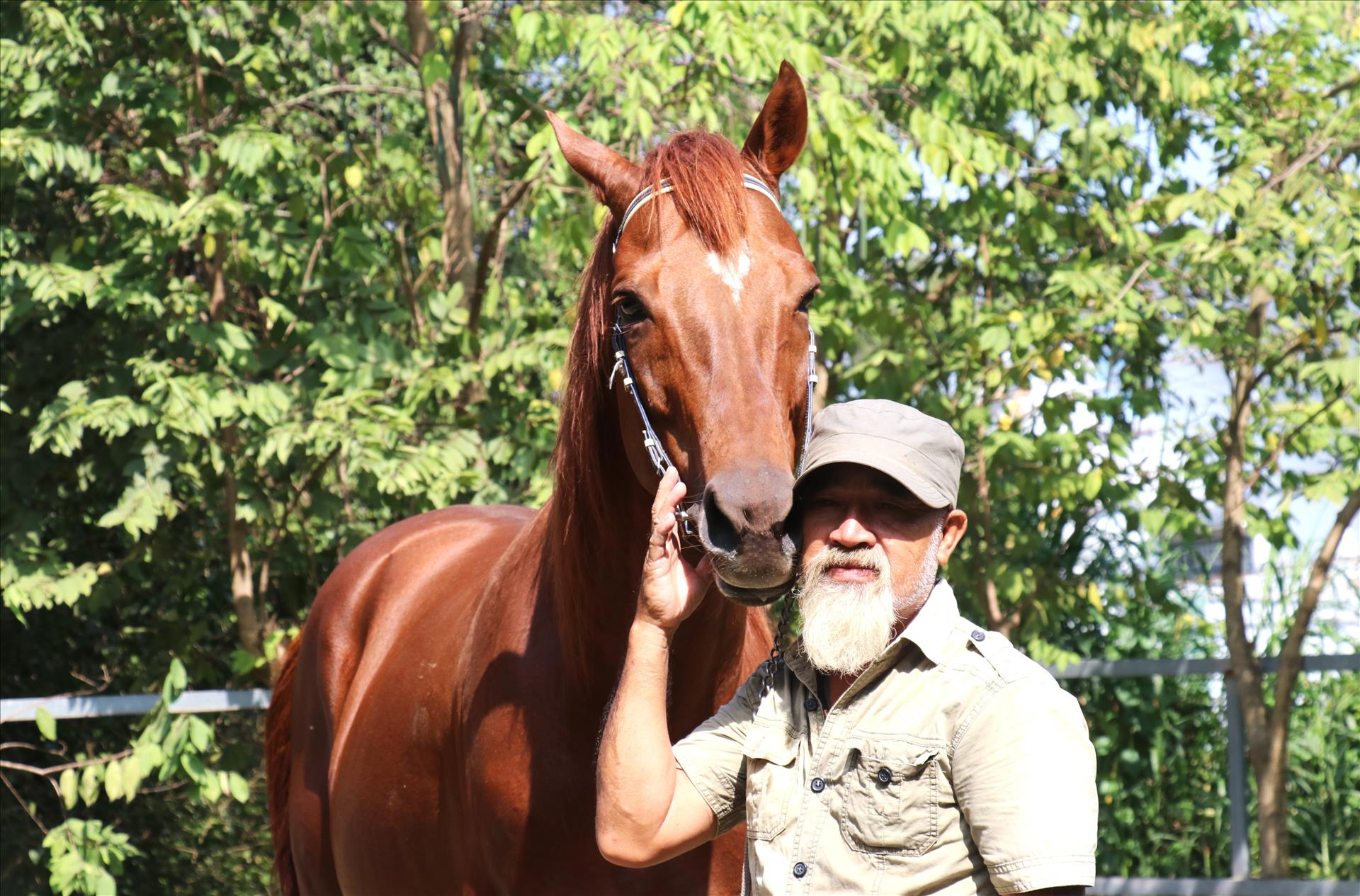 Ký ức vàng son và tiếng vó ngựa chưa dừng