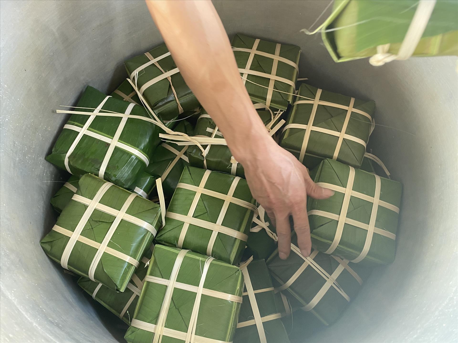 Xuân Bính Ngọ 2026: Ấm tình đoàn kết cộng đồng người Việt tại Cuba