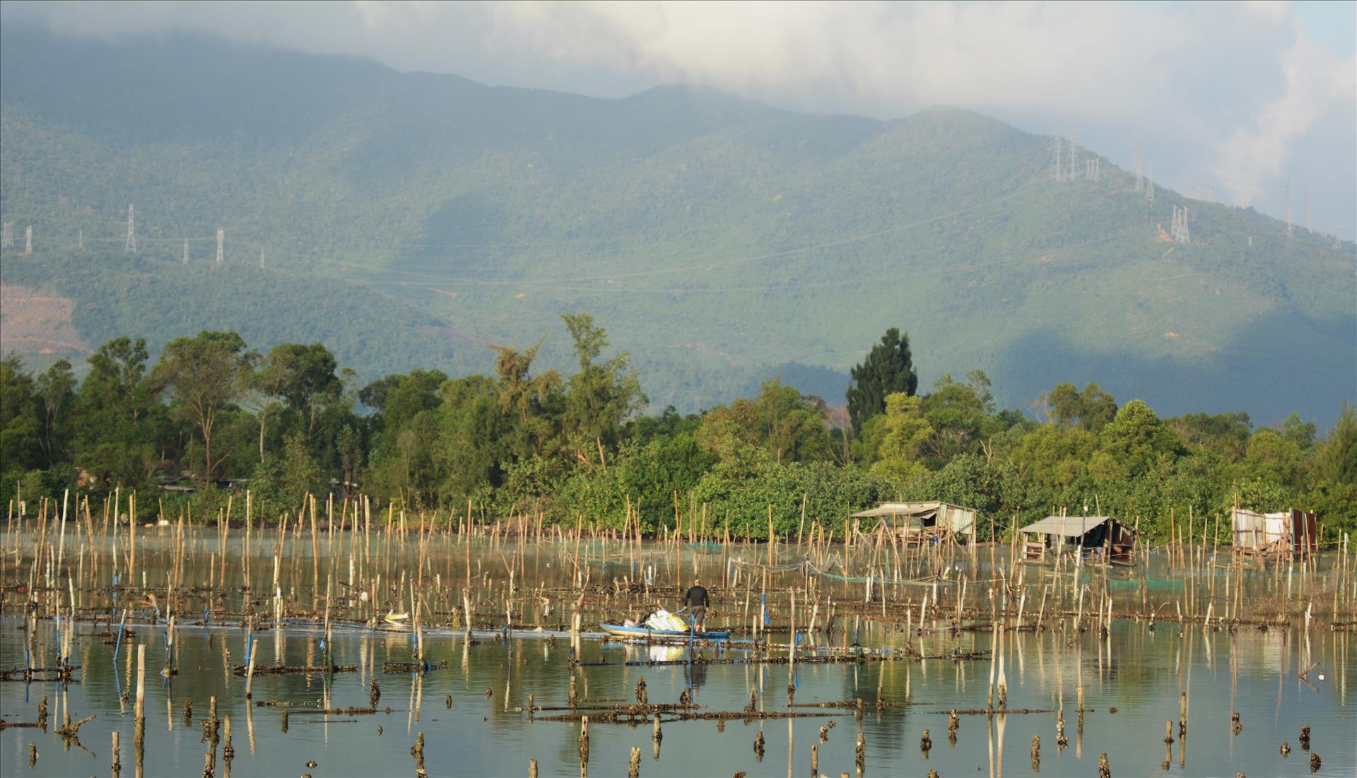 Lap An Lagoon: The Quiet Beauty Beneath Vietnams Hai Van Pass