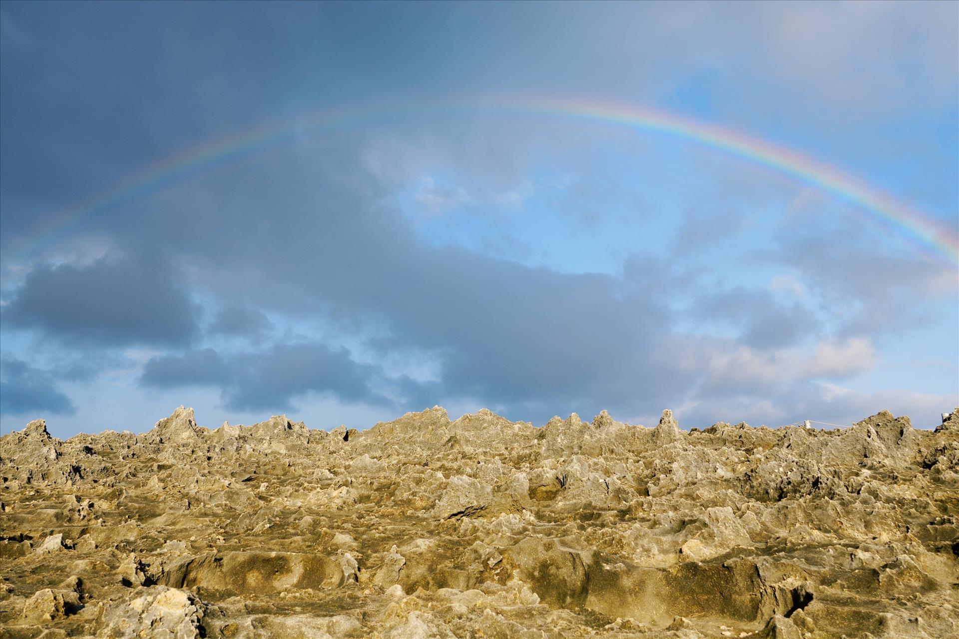 Những điểm hấp dẫn tại Hang Rái - Vườn quốc gia Núi Chúa