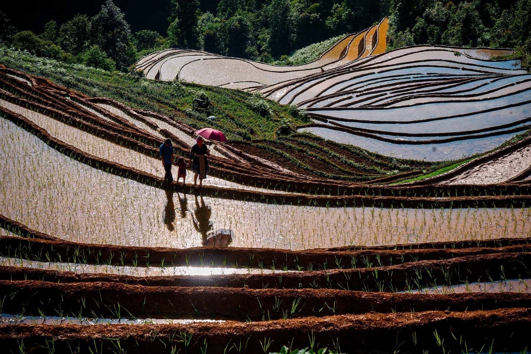 Vietnam named among worlds 28 most beautiful countries