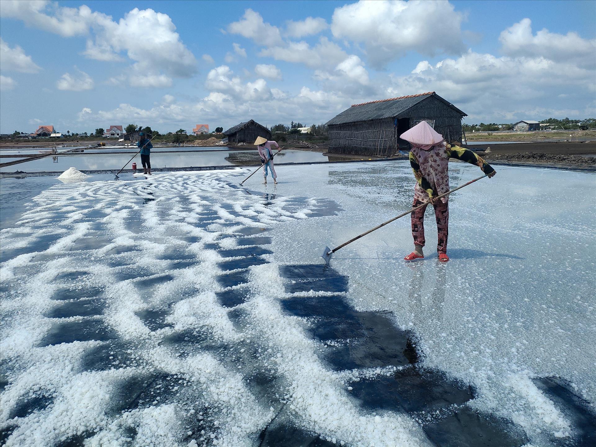 Efficiency Gains from Tarpaulin-Based Salt Production in Vinh Long