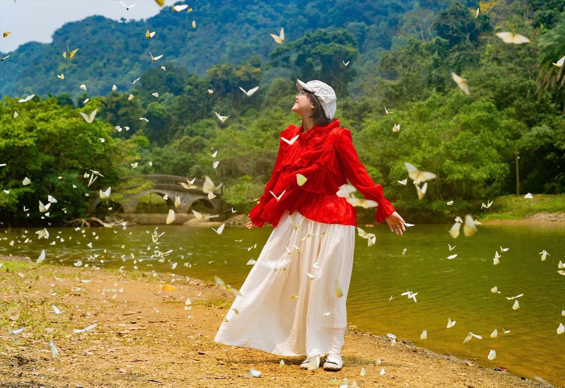 Cúc Phương rộn ràng khi mùa bướm đến sớm