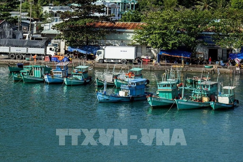 Анзянг активизирует меры по выполнению рекомендаций Еврокомиссии по борьбе с ННН-промыслом