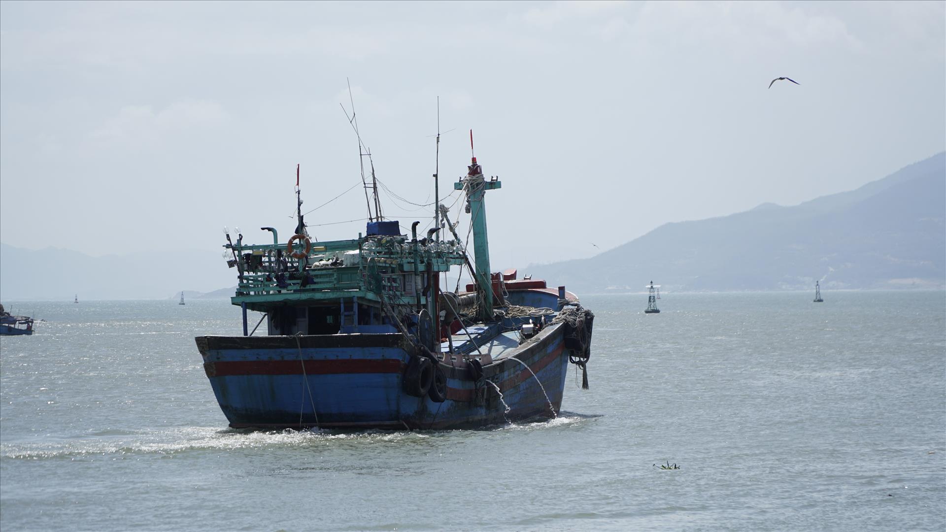 Khắc phục thẻ vàng IUU: Quảng Ninh quyết liệt thực hiện các giải pháp 