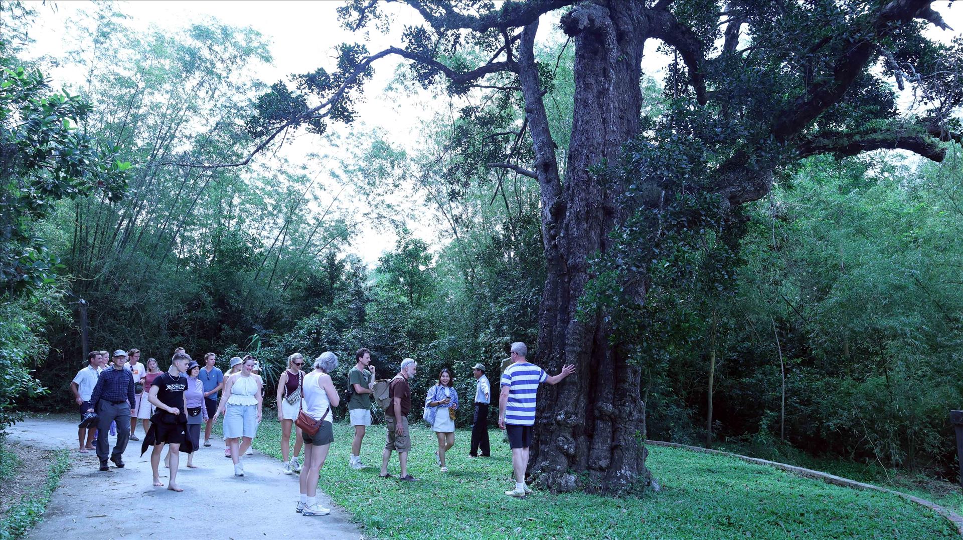 Souvenirs du printemps révolutionnaire dans les tunnels de Ky Anh