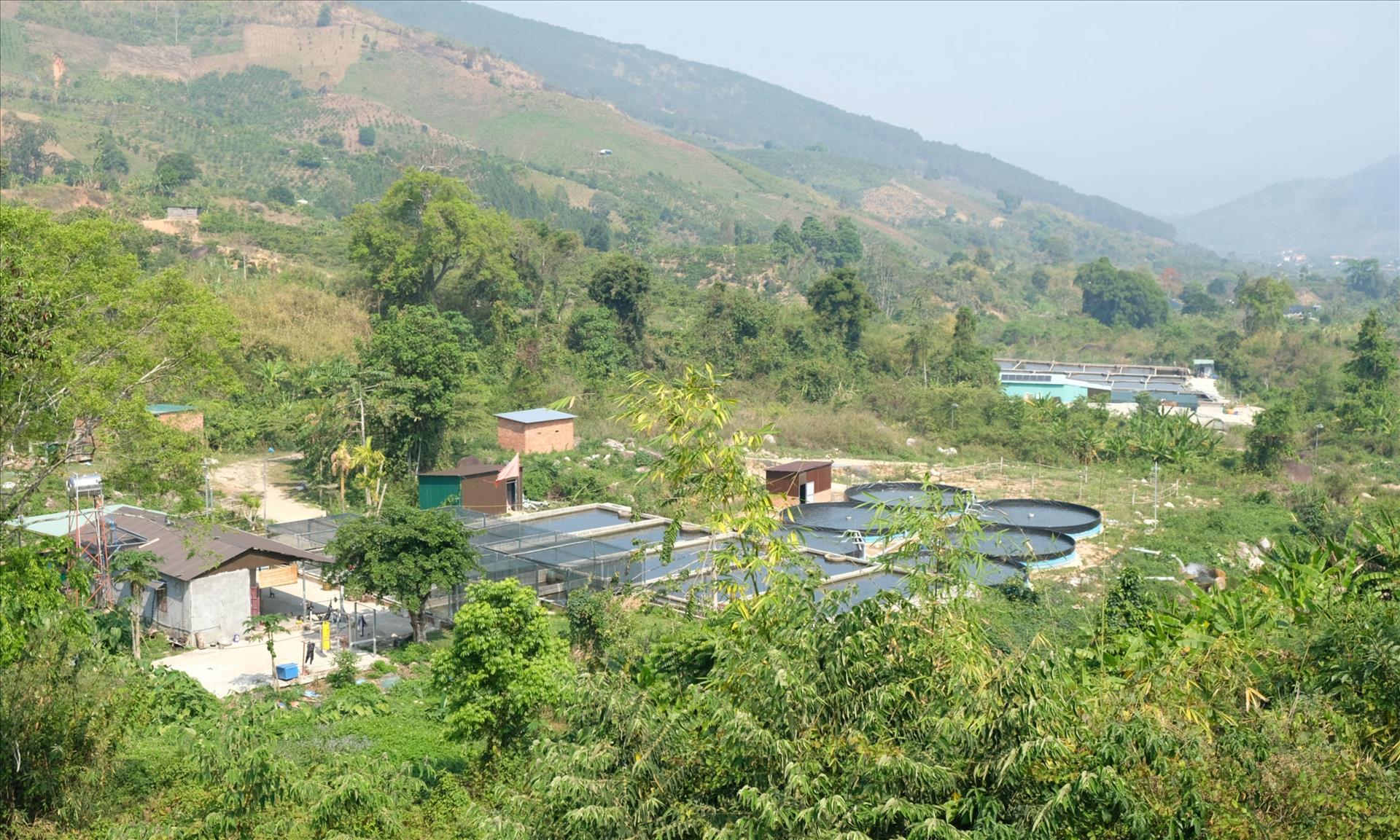 Lâm Đồng: Vùng sâu Đam Rông vươn mình trên những tiềm năng