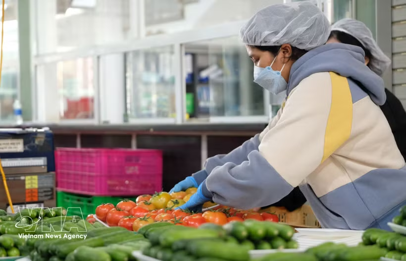 Frutas vietnamitas siguen conquistando mercados internacionales exigentes